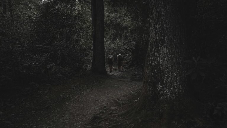 unknown directory name provided